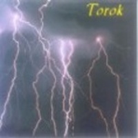 Torok -1995-