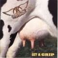 Get a Grip 1993