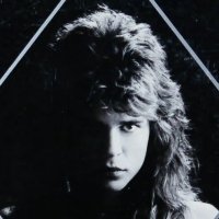 Craig Goldy - Guitare -