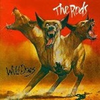 WILD DOGS - 1982 -