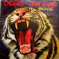 WILD CAT - 1980 -