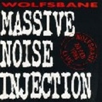 MASSIVE NOISE INJECTION - 1993 -